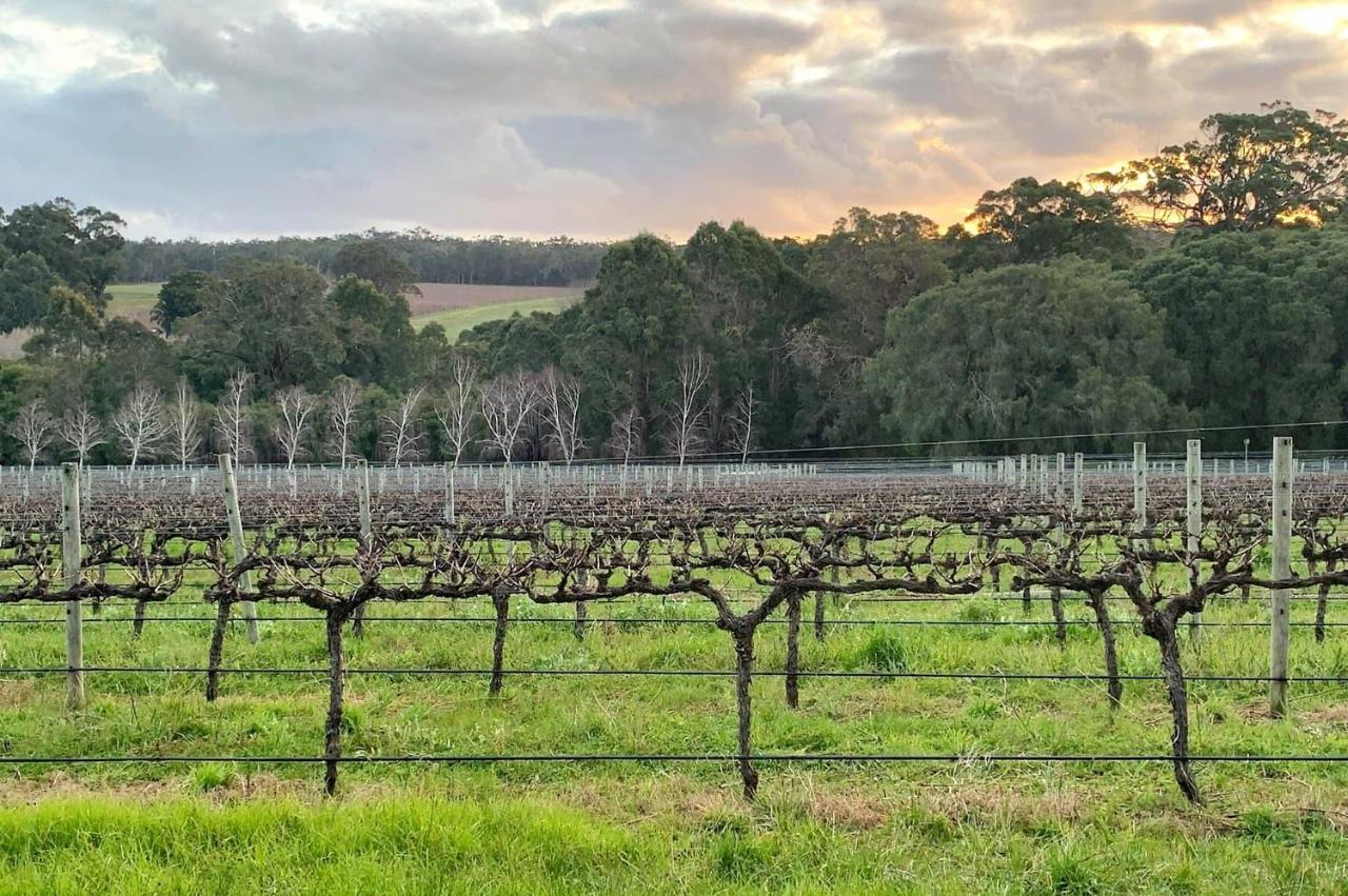 Ruse Estate Retreat Margaret River Rosa Glen Eksteriør billede